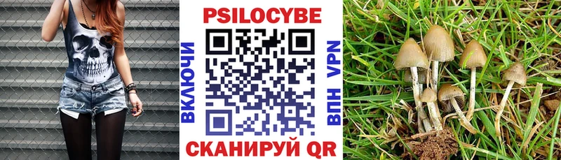 ссылка на мегу рабочий сайт  Каменка  Псилоцибиновые грибы MAGIC MUSHROOMS 